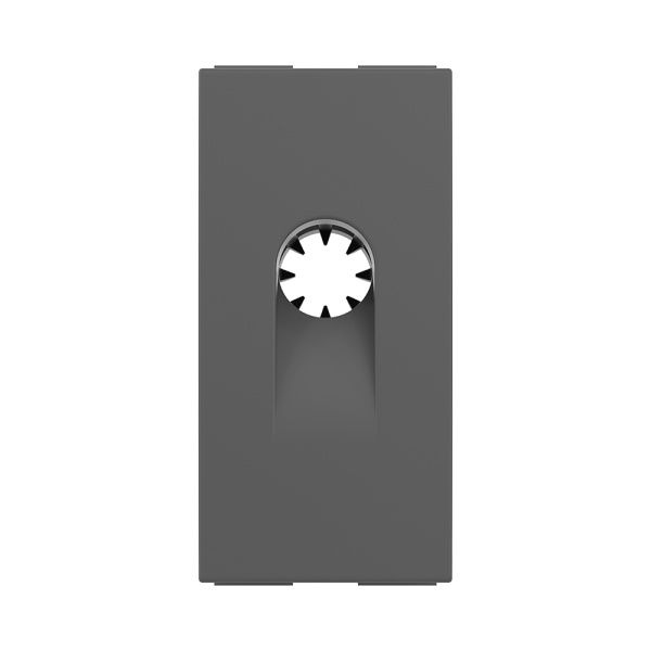 electric_grey