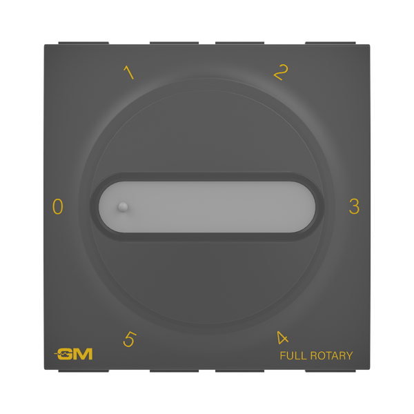 electric_grey