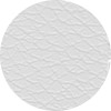 Elite White